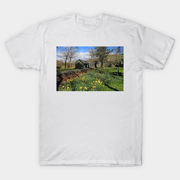 Rhydyronen Station T-Shirt by RoystonVasey